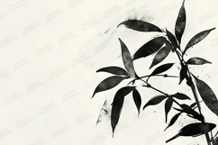 Black Ink Botanical Brush Art Minimal Background Product Image 1