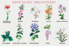 Japan native wild flowers watercolor Product Image 4