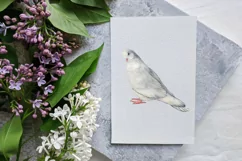 Love bird illustration, bird clipart PNG instant download Product Image 2