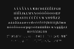 Wonderz Vogue Elegant Fashion Serif Font Product Image 5