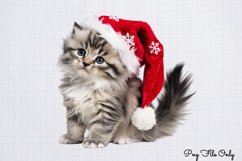 Christmas Cats Clipart PNG Product Image 1