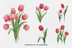 15 Bundle Watercolor Tulips Flower Botanical Painting Spring Product Image 5