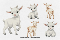 15 Bundle Watercolor White Goat Baby Kids Charming Farm Product Image 5