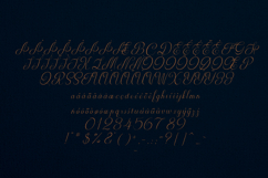 Serifora Elegant Signature Script Font Product Image 5