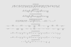 Chastum Script Product Image 6