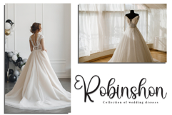 Angista Product Image 5