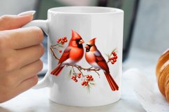 Christmas Cardinal Watercolor Clipart, Christmas Cardinal Product Image 5