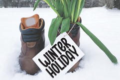 Baby Dream Product Image 5