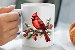 Christmas Cardinal Watercolor Clipart, Christmas Cardinal Product Image 5