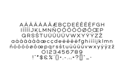 Modern Heritage Minimalist Sans Serif Font Product Image 5