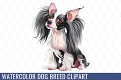 Wildflowers Sublimation Clipart Product Image 1