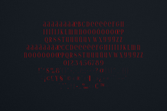 Thorn Tale Elegant Modern Serif Font Product Image 5