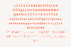 Preta Editorial Serif Font Family Product Image 5