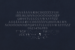 Footle Elegant Modern Serif Font Product Image 5
