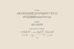 Aviel Elegant Expressive Serif Font Product Image 5