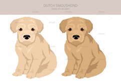 Dutch Smoushond clipart Product Image 3
