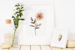 Watercolor crystals and plants clipart. Product Image 6