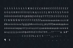 Pure Motif Elegant Serif Text Font Product Image 5