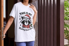 Sarcastic PNG Bundle 34 Snarky Sublimation Designs Product Image 5
