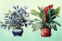 Houseplants Pot Sublimation Bundle, Houseplants in Pot PNG Product Image 6