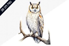 Owl Sublimation PNG Design - Owl Sublimation Product Image 1