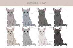 Russian Blue Cat Product Image 4