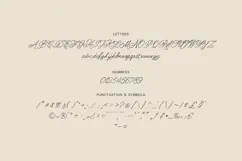 Folke Ornamental Signature Script Font Product Image 5