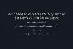 Lelushka Modern Handwritten Script Font Product Image 5