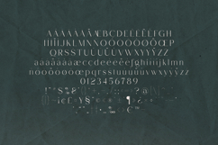 Rabble Delicate Elegant Serif Font Product Image 4