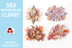 4 Summer Seashells Watercolor Cliparts Product Image 1