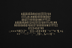 Retro Dream Vintage Distressed Sans Serif Font Product Image 5