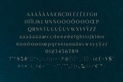 Alpas Minimal Editorial Serif Typeface Product Image 5