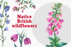 Native British wildflower watercolor Product Image 6
