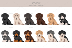 Scoodle, Scottiepoo dog mix Product Image 4
