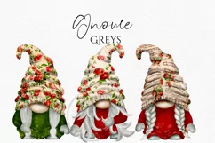 Best Friends Gnomes | Gnome Clipart PNG Product Image 5