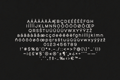 Quasar Soft Modern Rounded Sans Serif Font Product Image 5