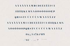 Tamira Modern Serif Elegant High Contrast Display Product Image 5