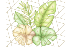 Pastel Safari Jungle Baby Animals PNG Clipart, Nursery Product Image 5