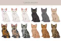 Turkish Angora cat Product Image 4
