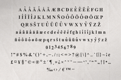 Oldink Vintage Rough Serif Font Product Image 5