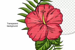 Aloha Hibiscus PNG, ALOHA inscription, PNG Beach Product Image 5
