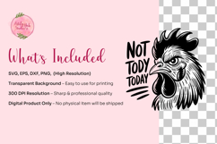 Funny Chicken SVG Bundle, Sarcastic Farm Quotes, Rooster Hen Product Image 3