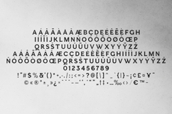 Esque Sans Modern Humanist Sans Serif Font Product Image 5