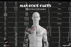 Procreate Body Parts Brushes Bundle | Stamps | Brush Set Product Image 5