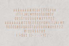 Errorist Textured Vintage Serif Display Font Product Image 5