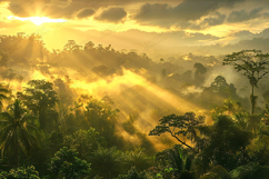 Sunrise Rainforest Background with Golden Light Rays Art Product Image 1