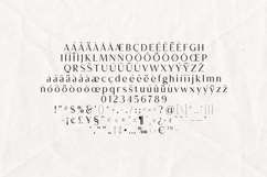 Creators Type Modern Serif Display Font Product Image 5