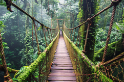 Mossy Jungle Suspension Bridge Scenic Forest Path Product Image 1