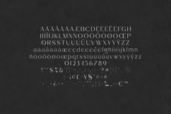 Stefania Elegant Modern Serif Font Product Image 5