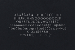 Garner Organic Handmade Serif Font Product Image 5